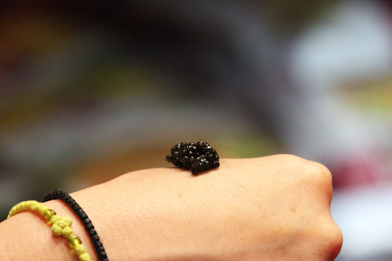 caviar-de-neuvic-flora-photos (10)