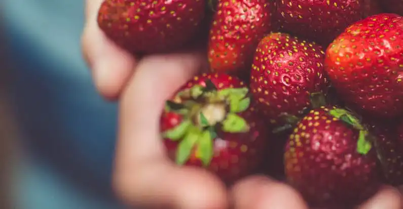 fraoules-eyergetikes-idiotites